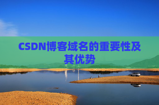 CSDN博客域名的重要性及其优势